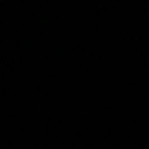 Meet your Posher, Jake